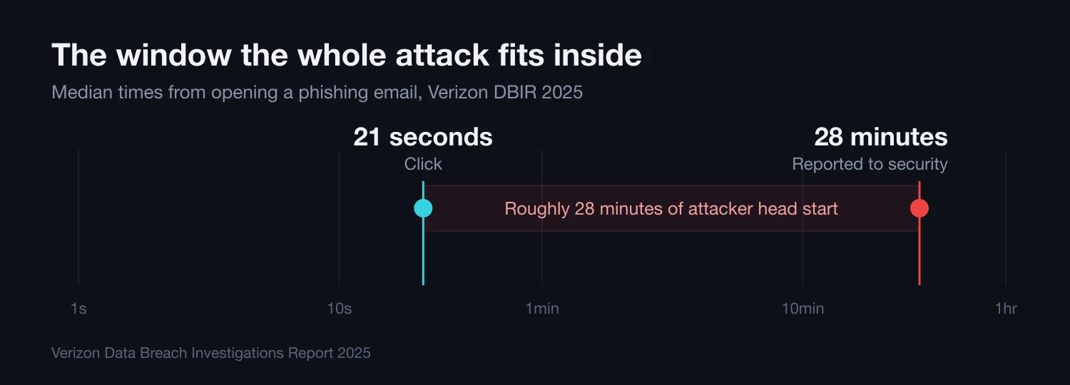 Chart comparing the median time to click a phishing email, 21 seconds, with the median time to report it to security, 28 minutes, according to the Verizon DBIR 2025